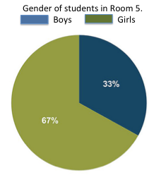 Pie chart of the genders of students in room 5. 33% boys and 67% girls.