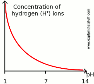 A graph showing the concentration of hydrogen (H+) ions.