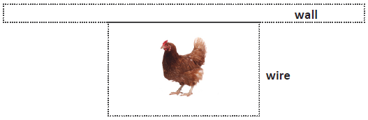 A rectangular chicken run against a wall.