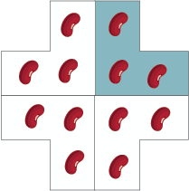 This shows four “L” shapes being combined to create a cross shape. 3 beans have been placed on each “L” shape.