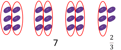 Image with 23 beans. Seven groups of 3 are circled and labelled as 7. The remaining 2 are labelled 2/3.