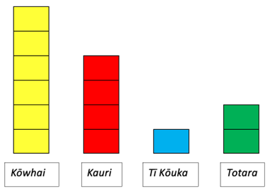 Strips of coloured squares vertically with labels. 6 yellow labelled Kōwhai, 4 red labelled Kauri, 1 blue labelled Tī Kōuka, and 2 green labelled Totara.