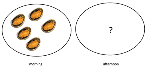 Image of two plates, one with 6 paua on it, labeled morning, and the other with a question mark, labeled afternoon.