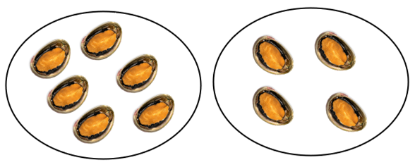 Image of two plates, one with 6 paua on it and the other with 4 paua on it. 