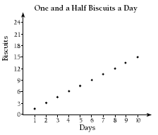 Biscuit Binge | NZ Maths