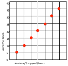 This image shows a graph displaying the number of frangipani petals (y axis) against the number of frangipani flowers (x axis).