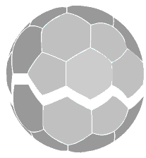 soccer ball. 