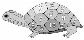 Picture of the Murtle game board.