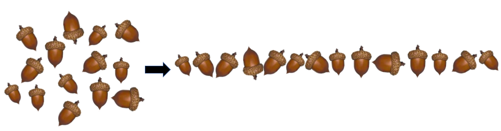 A handful of acorns, with an arrow pointing to the same acorns organised into a line.