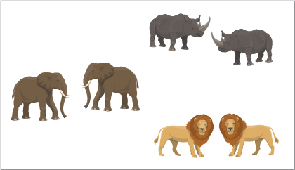 The same collection of two lions, two elephants, and two rhinoceros. They are arranged in pairs in this image.