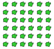 An array of apple trees arranged in 6 rows and 6 columns.