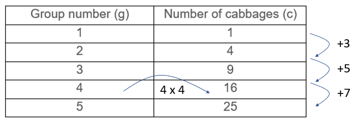 A pattern showing the relationship between group number (g) and number of cabbages (c).