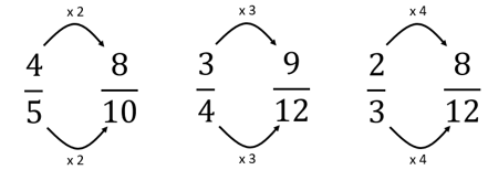Image showing relationships between numerators and denominators in equivalent fractions.
