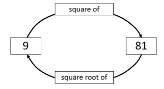 A cycle diagram demonstrating that 9 is the square root of 81, and 81 is the square of 9.