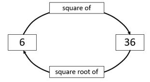 A cycle diagram demonstrating that 6 is the square root of 36, and 36 is the square of 6.