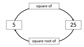 A cycle diagram demonstrating that 5 is the square root of 25, and 25 is the square of 5.
