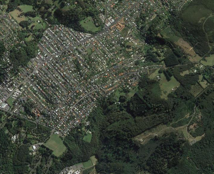 A satellite image of North Dunedin.