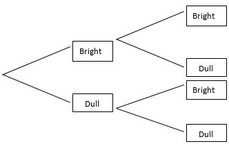 Tree diagram showing that the chance of two stars being bright is one in four.