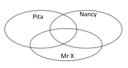A blank Venn Diagram for Pita, Nancy, and Mr X.
