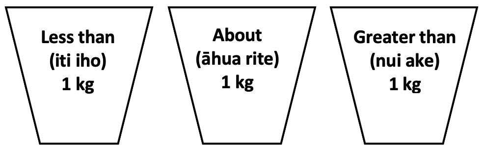 Diagram showing three buckets - one less than 1kg, one around 1kg, and one greater than 1kg.