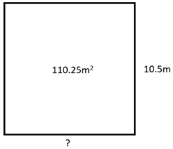 A square with an area of 110.25m^2 and a side length of 10.5m.