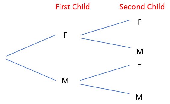A tree diagram showing the possible outcomes for female and male variables.