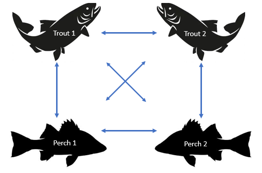 A network diagram showing the probabilities of catching different fish.