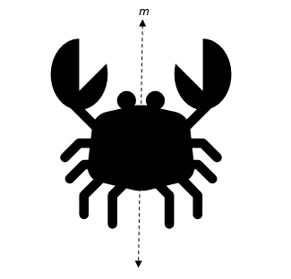 A symmetrical illustration of a crab.