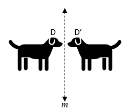 An illustration of a dog reflected across a vertical mirror line.