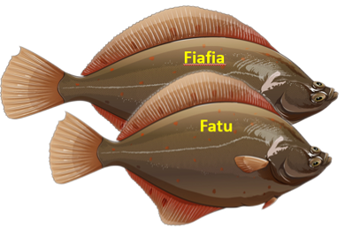 Image showing Fatu and Fiafia being compared directly.