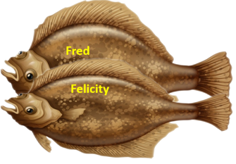 Image showing Fred and Felicity being compared directly.