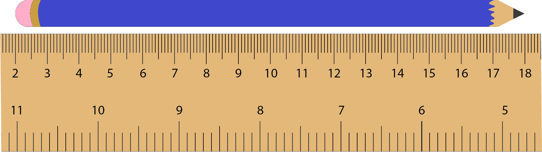 Image of a ruler being used to measure the length of a pencil. 