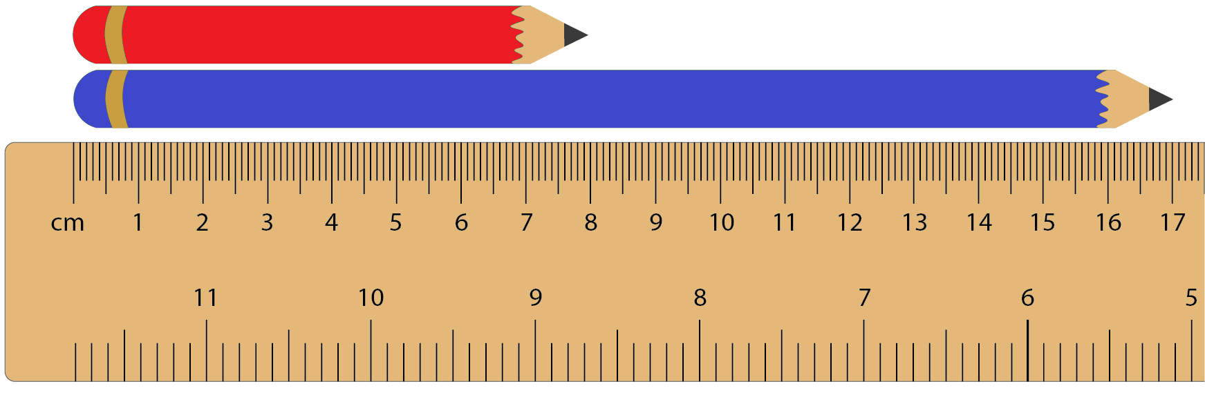 Image of two pencils aligned against a ruler.
