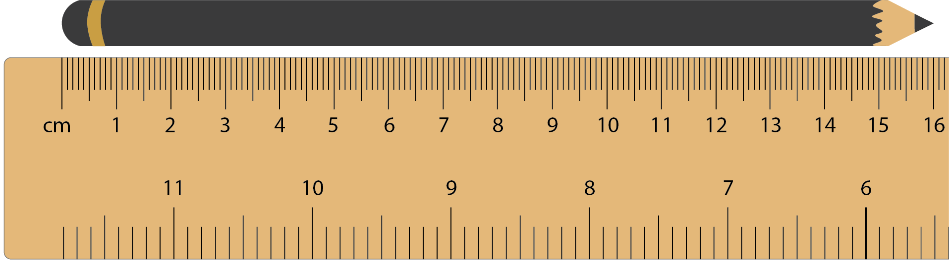 Image of a ruler being used to measure the length of a pencil. 