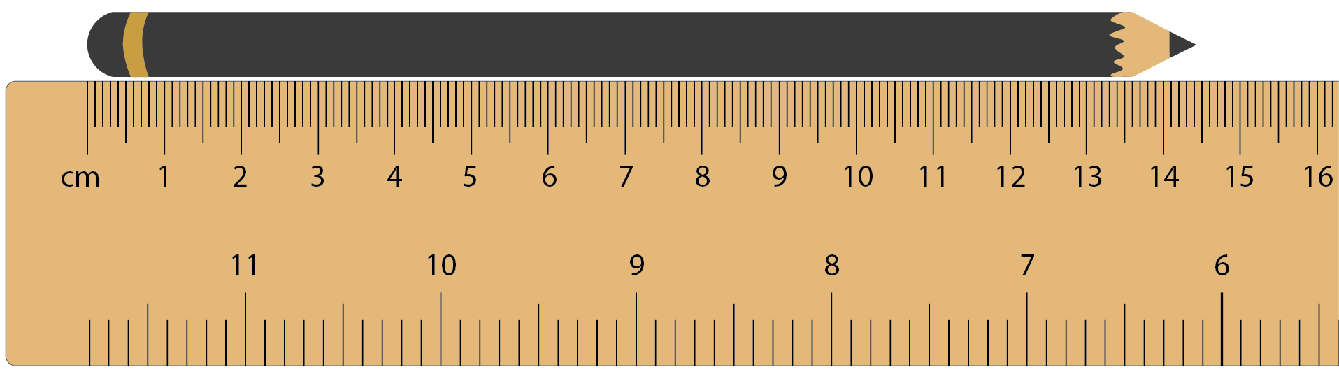 Image of a pencil aligned against a ruler.