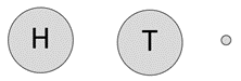 Image of a large grey circle with an H in it, a large grey circle with a T in it and a small grey circle.