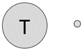 Large grey circle with a T in it and a small grey circle.